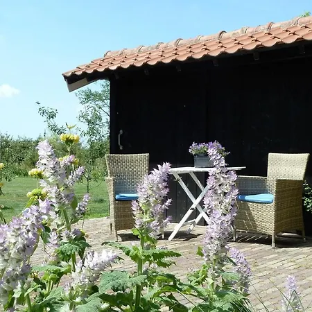 Panzió Bed&Breakfast Hoornaar 4*