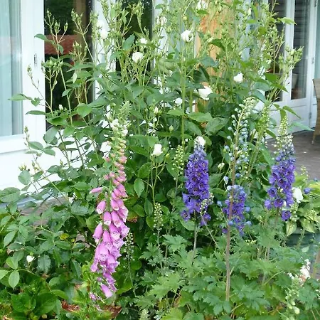 Bed&Breakfast Hoornaar 4*