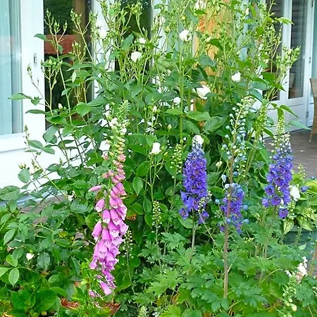 B&B Bed&Breakfast Hoornaar Hoornaar