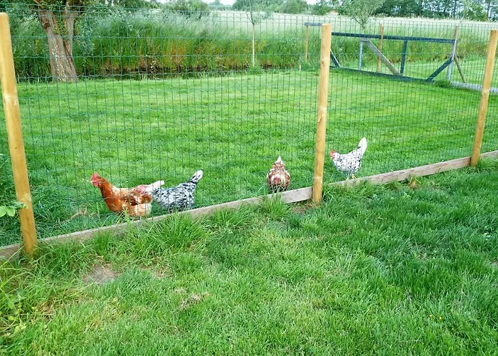 Bed&Breakfast Hoornaar Panzió Hoornaar