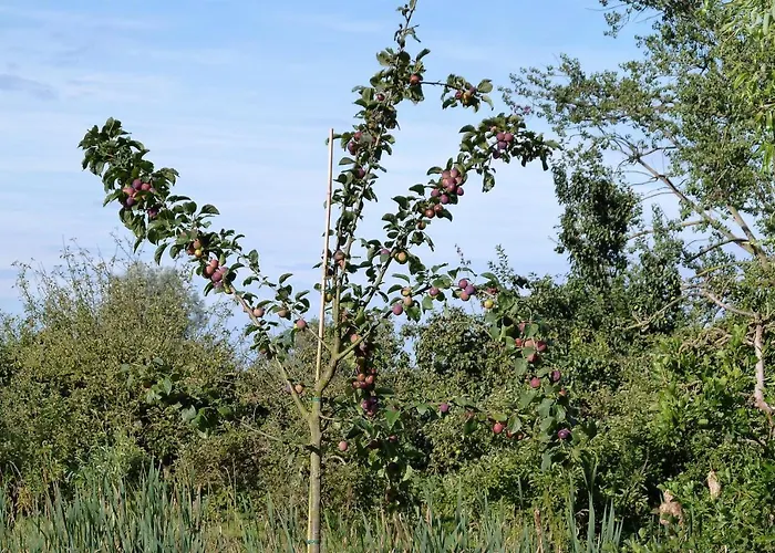 Panzió Bed&Breakfast Hoornaar