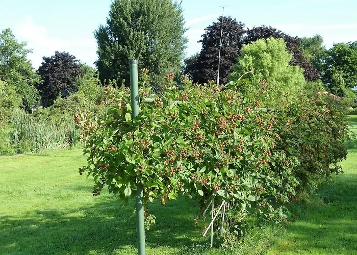 Bed&Breakfast Hoornaar Hoornaar